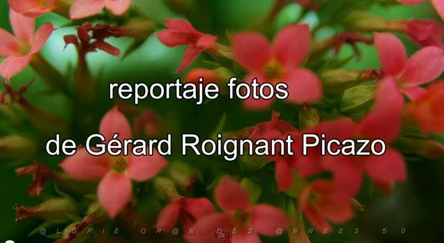 022 REPORTAjE FOTOS 2011.JPG